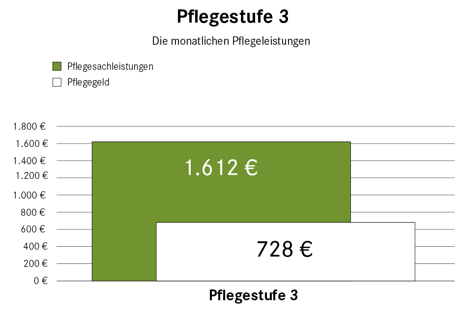 Pflegestufe Kosten Und Leistungen